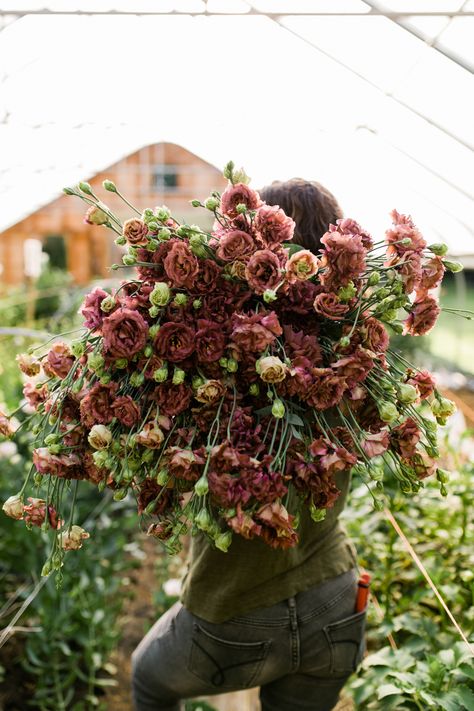 Cabin Farm, Lisianthus Flowers, Glamping Cabin, Throwing A Party, Cut Flower Farm, Flower Business, Flower Farmer, Cut Flower Garden, Tiny Cabin