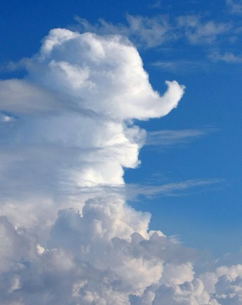 Seeing Pictures In Clouds | Recent Photos The Commons Getty Collection Galleries World Map App ... Angel Clouds, Cloud Art, Cloud Shapes, Storm Clouds, What Do You See, Sky And Clouds, Natural Phenomena, Beautiful Sky, Belleza Natural