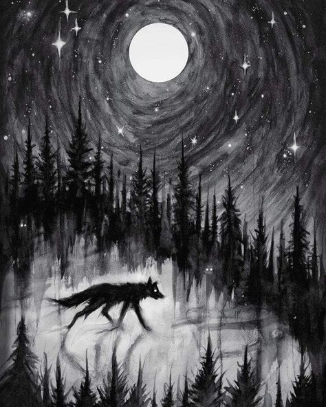 Lone Wolf Drawing, Lone Wolf Art, Black Wolf Art, Wolf At Night, Creature Of The Night, Shadow Wolf, Creatures Of The Night, Scary Art, Black Wolf