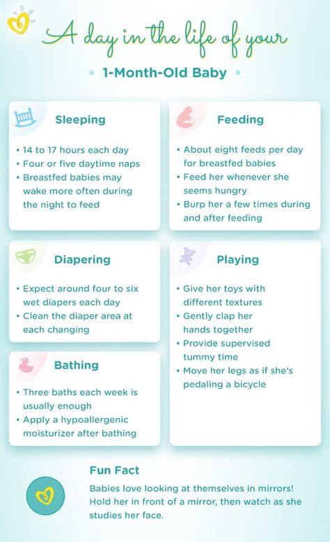 Baby Development Milestones, 7 Month Old Baby, 4 Month Old Baby, Development Milestones, 3 Month Old, 3 Month Old Baby, Baby Schedule, Breastfed Baby, 4 Month Olds