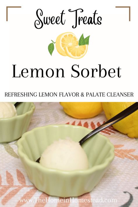 Homemade Lemon Sorbet & Lemon Sherbet | Refreshing Lemon Treats! | Cuisinart Ice-100 Ice Cream Maker - The Home in Homestead Cuisinart Ice Cream Maker Recipes, Ice Cream Maker Accessories, Homemade Ice Cream Recipes Machine, Lemon Sherbet, Ice Cream Recipes Machine, Lemon Treats, Cuisinart Ice Cream Maker, Cuisinart Ice Cream, Lime Sherbet