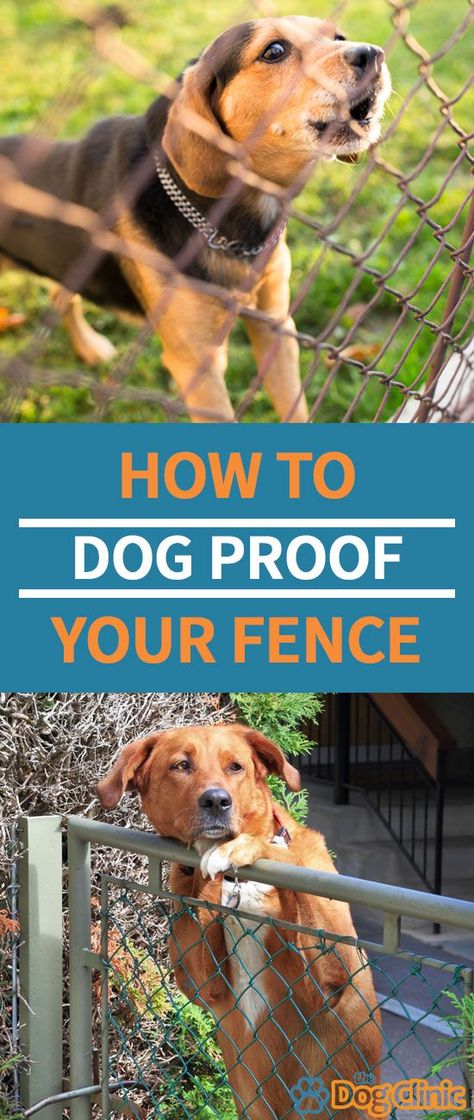 Jump Proof Dog Fence, Dog Fence Ideas Backyards, Dog Yard Ideas Backyards, How To Keep Dogs From Getting Out Of Fence, Dog Jumping Fence, Dog Yard Ideas, Keep Dogs From Digging, Keep Dogs From Digging Under Fence, Prevent Dogs From Digging Under Fence