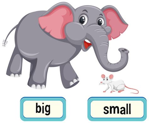 Big And Small Flashcards, Small Clipart, Opposite Words For Kids, Opposites For Kids, Animal Flashcards, Opposite Words, Montessori Toddler Activities, Activities Ideas, 1st Grade Math Worksheets