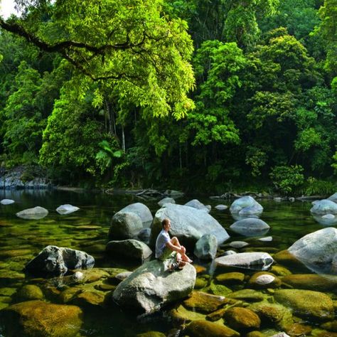 Mossman Gorge, Aus Travel, Noosa Heads, Daintree Rainforest, The Gorge, Poisonous Plants, Ancient Knowledge, Suspension Bridge, The Far Side