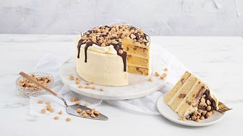 This light and fluffy cake is made with buttermilk and Caramilk chips. Topped with vanilla buttercream, chocolate drizzle and more Caramilk chips. Cakes Slices, The Best Cakes, Buttercream Chocolate, Fluffy Cake, Best Cakes, Supermarket Shelves, Scones Recipe, Vanilla Icing, Biscuit Cake