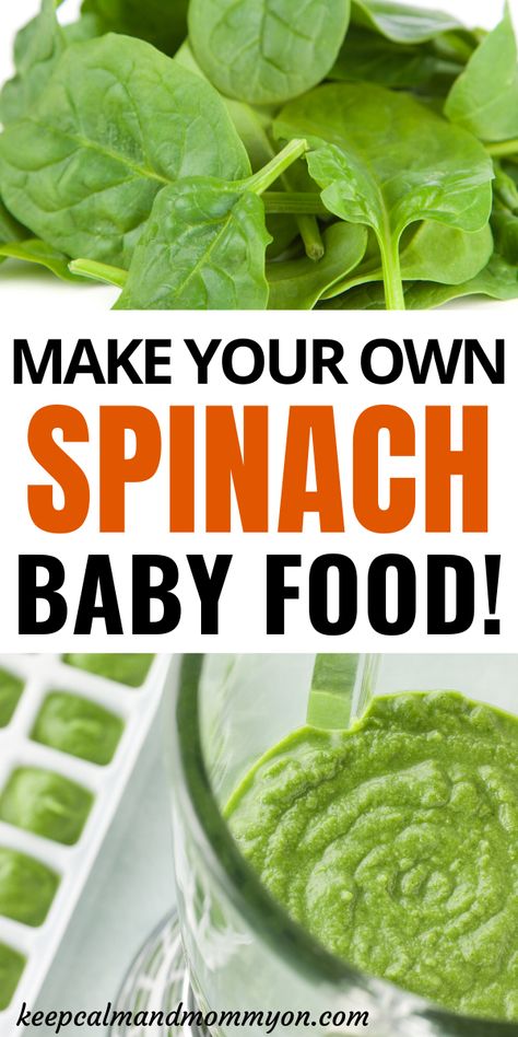 Spinach Baby Food, Baby Food Homemade, Homemade Baby Puffs, Avocado Baby Food, Make Your Own Baby Food, Homemade Baby Snacks, Baby Food Recipes Stage 1, Baby Spinach Recipes, Sweet Potato Baby Food