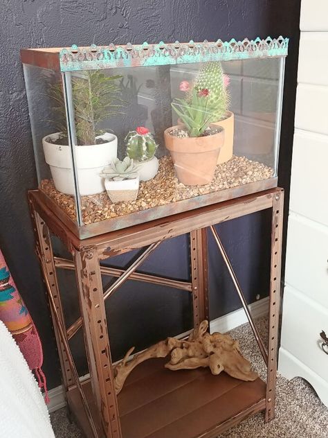 fish tank to terrarium Display Case Terrarium, Fish Tank Terrarium Plants, Succulent Terrarium Fish Tank, Fish Tank Greenhouse Diy, Old Fish Tank Ideas, Threshold Ideas, Bridal Loft, Plant Cabinet, Indoor Cactus Garden