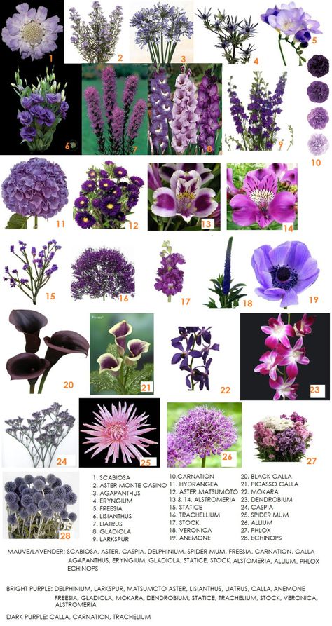 Vintage Chic Wedding, Flower Chart, Purple Bouquet, Flower Guide, Purple Wedding Flowers, Have Inspiration, Flower Names, Arte Floral, Types Of Flowers