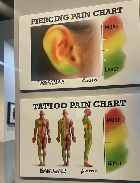 Minimalistic Tattoos Aesthetic, Different Types Of Piercings Ears, Earring Pain Chart, Pain Chart For Piercings, Ear Piercing Pain Chart, Piercings Ear Chart, All Ear Piercings Chart, Different Ear Piercings Chart, Most Painful Ear Piercings Chart