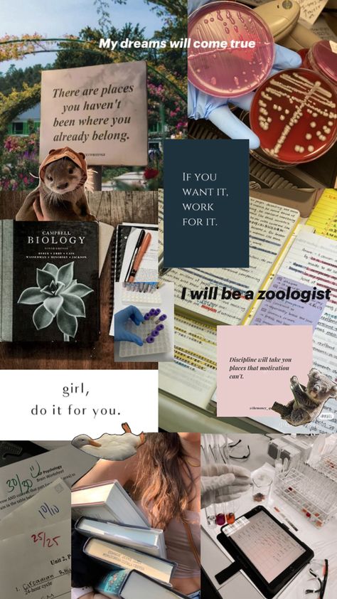 Zoologist university major motivational collage Zoology Aesthetic Notes, Zoologist Career, Zoology Career, Campbell Biology, Learn Biology, Vision Board Printables, Wildlife Biologist, Cute Raccoon, Face Aesthetic