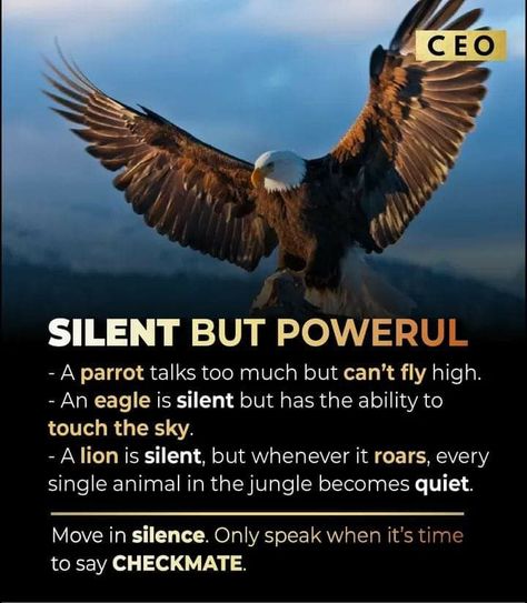 Eagle Attitude Quotes, Eagle Mindset, Smart Quotes Wisdom, Eagle Quotes, Eagles Quotes, Mehendi Bridal, Lone Wolf Quotes, Ceo Mindset, Man Rules