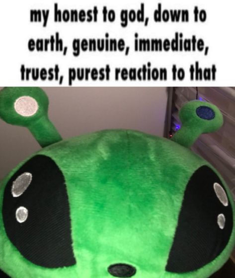 Gnarp Gnarp Meme, Ikea Alien Plush Pfp, Ikea Alien Plush, Alien Pfp, Ikea Plushies, Ikea Alien, Silly Alien, Gnarp Gnarp, Aliens Guy