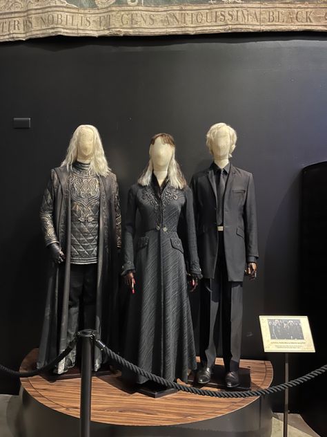 Lucius Malfoy Outfit, Lucius Malfoy Costume, The Malfoys, Harry Potter Groups, Malfoy Family, Harry Potter Painting, Harry Potter Studios, Cute Harry Potter, Lucius Malfoy