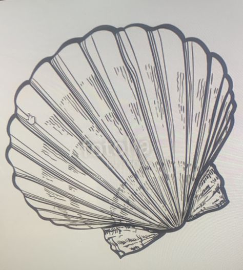 Seashell Tattoo, Seashell Tattoos, Fan Tattoo, Hand Fan, Sea Shells, Fan, Tattoos