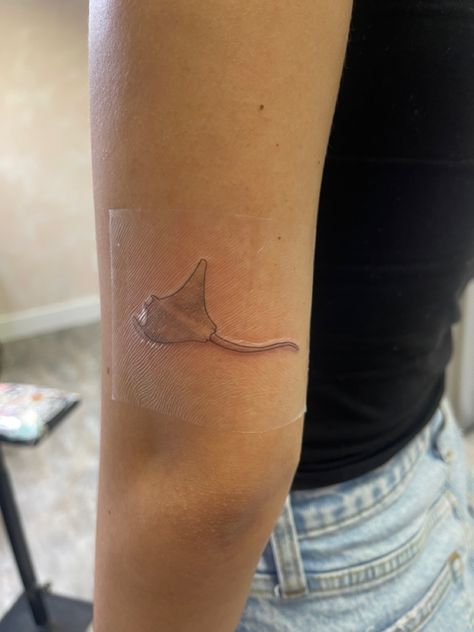 #stingray #tattoo #stingraytattoo #finelinetattoo #mantaray Stingray Tattoo Placement, Swimming Fish Tattoo, Cownose Stingray Tattoos, Shark And Stingray Tattoo, Fine Line Stingray Tattoo, Stingray Tattoo Simple, Sting Ray Tattoo Simple, Simple Stingray Tattoo, Stingray Tattoo Design