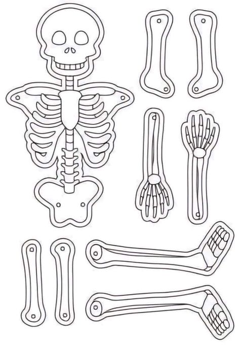 Skeletal System Project, Skeleton For Kids, Skeleton Template, Skeleton Parts, Toddler Sensory Bins, Skeleton Body, 2nd Grade Art, Skeletal System, Halloween Arts And Crafts