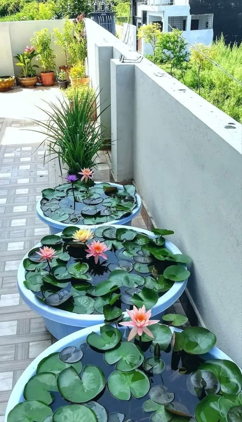 Tanaman Air, Indoor Pond, Taman Air, Indoor Water Garden, Garden Pond Design, Diy Garden Fountains, Garden Makeover, Garden Crafts Diy, Pond Design