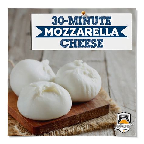 30-Minute Mozzarella Cheese Recipe: Quick and Easy DIY Cheese Making Traditional Kimchi Recipe, Mozzarella Cheese Recipe, Make Mozzarella Cheese, Recipes With Mozzarella Cheese, Fermented Sauerkraut, Diy Cheese, Sauerkraut Recipes, Kimchi Recipe, Cheese Making