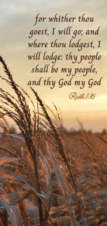 A wheat field background with bible verse Ruth 1:16 written on it Ruth Bible Verse, Scripture Verses Kjv, Bible Verse Phone Wallpaper, Verse Phone Wallpaper, Bible Quotes Kjv, Ruth Bible, Bible Verses Phone Wallpaper, Bible Verses Kjv, King James Bible Verses