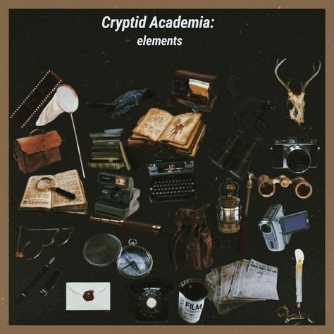 Elitist Aesthetic, Cryptic Academia, Cryptid Academia, Paradis Sombre, Cryptidcore Aesthetic, Paranormal Aesthetic, Academia Aesthetics, Chaotic Academia, Paranormal Investigation