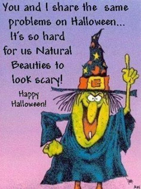 10 Really Funny Halloween Quotes & Pictures Funny Halloween Pictures, Halloween Humor, Halloween Jokes, Halloween Quotes Funny, Halloween Memes, A Broom, My Funny Valentine, Halloween Quotes, Halloween Images