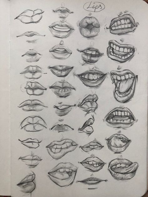 Mouth Drawing Practice, Sketchbook Ideas Anatomy, Mouth Sketch Reference, Lips Anatomy Drawing, Lips Art Reference, Lip Shapes Drawing, Drawing Of Mouth, Sketches Of Lips, Things To Practice Drawing