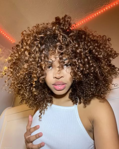 Honey Copper Curly Hair, Golden Brown Hair Honey Curly Hair, Light Brown Curly Hair Black Women, Honey Colored Curly Hair, Light Brown Copper Curly Hair, Honey Blonde 4b Hair, Curly Hair Braids, Highlights Curly Hair, Natural Curly Hair Cuts