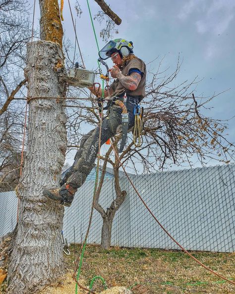 Arborist Climbing Trees, Arborist Climbing, Climbing Trees, Land Clearing, Tree Surgeons, Sketches Doodles, Art Sketches Doodles, Tree Removal, Tree Service