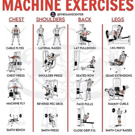 Machine Exercise Check out link in bio . . . . Credit 👉 @thegainzcenter ©All rights reserved by respective… | Instagram Ball Core Exercises, Starter Workout Plan, Circuit Workout Gym, Weight Machine Workout, Mexican Illustration, Starter Workout, Appetizer Decoration, Core Workout Gym, Gym Workouts Machines