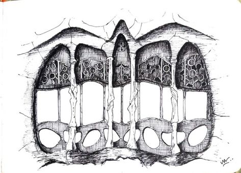 Gaudi Art, Biomimicry Architecture, Ks3 Art, Casa Mila, Gaudi Architecture, Barcelona Architecture, Architecture Drawing Sketchbooks, Antonio Gaudí, Building Drawing