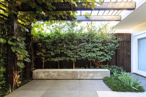 Courtyard Concept, Landscape Design Melbourne, Pergola Drapes, Bluestone Paving, Singapore Garden, Small Courtyard, Timber Battens, Hillside Garden, Courtyard Gardens Design