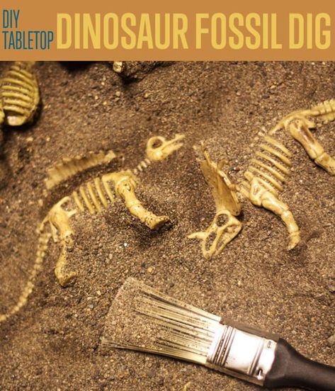 Create a fossil game that your kids will enjoy with this DIY dino dig game. We're sure that they'll spend hours of fun with this engaging game at your table top. Fossil Ideas, Dinosaur Fossil Dig, Diy Fossils, Dinosaur Party Games, Dino Dig, Dinosaur Dig, Dinosaur Fossil, Turkey Crafts, Dinosaur Activities