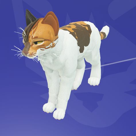 Wcue Morph Ideas Calico, Wcue Morph Ideas Realistic Breeds, Realistic Warrior Cat Morphs, Calico Morph Wcue, Warrior Cats Ultimate Edition Morph Ideas, Wcue Morph Calico, Wcue Ocs, Wcue Morph Ideas She-cat, Warrior Cat Names