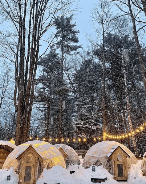 7 Winter Things to Do in Northern Michigan (Lower Peninsula) ❄️ Petoskey Michigan Winter, Winter In Michigan, Michigan Travel Winter, Boyne Mountain Resort, Alpena Michigan, Munising Michigan, Michigan Travel Destinations, Saginaw Michigan, Frankenmuth Michigan