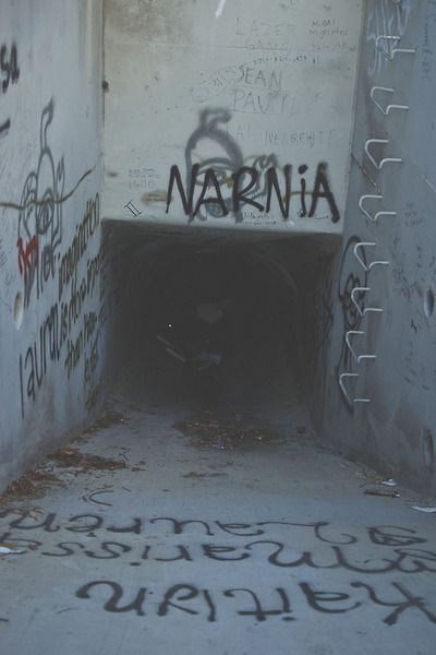 Follow me to Narnia.                                                                                                                                                                                 More Images Terrifiantes, Grunge Photography, 판타지 아트, Aesthetic Grunge, Grunge Aesthetic, Narnia, Black Aesthetic, Aesthetic Photo, Dark Aesthetic