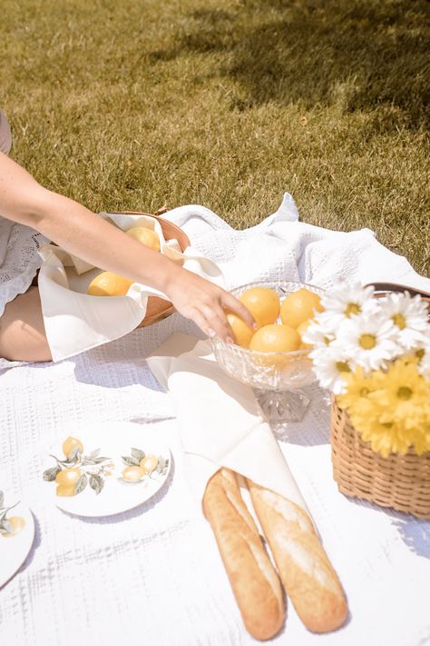 summer lemon picnic photoshoot Photoshoot With Lemons, Lemonade Photo Shoot, Giveaway Photoshoot, Scrub Photoshoot, Lemon Photoshoot, Lemon Picnic, Lemonade Stand Photo Shoot, Backyard Photoshoot, Fruit Picnic