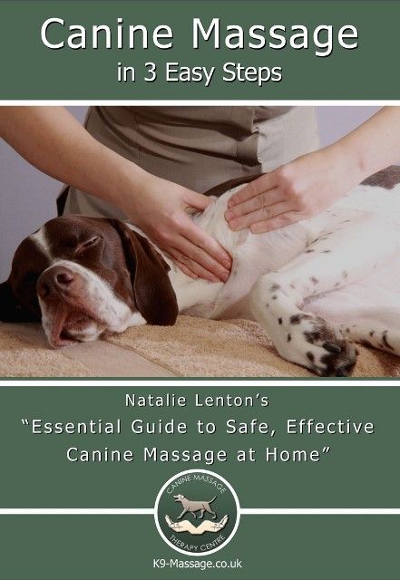 Canine Anatomy, Dog Massage, Pet Tips, Dog Training Techniques, Baby Massage, Dog Info, Pet Hacks, Massage Techniques, Dog Trainer