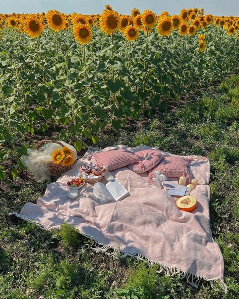 Sunflower Garden Aesthetic, Flower Field Picnic, Laughter Aesthetic, Sunflower Field Aesthetic, Sunflower Picnic, Anne Lester, Sunflowers Aesthetic, Sunflower Field Pictures, Farm Date