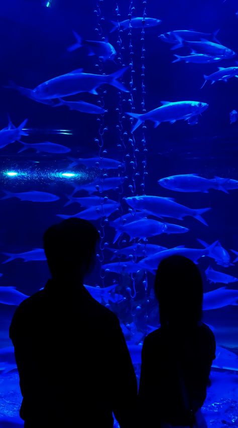 Aquarium Date Aesthetic Couple, Aquarium Couple Photos, Aquarium Aesthetic Couple, Aquarium Date Aesthetic, Aquarium Date Outfit, Aquarium Date, Aquarium Pictures, Dream Dates, Teenage Romance