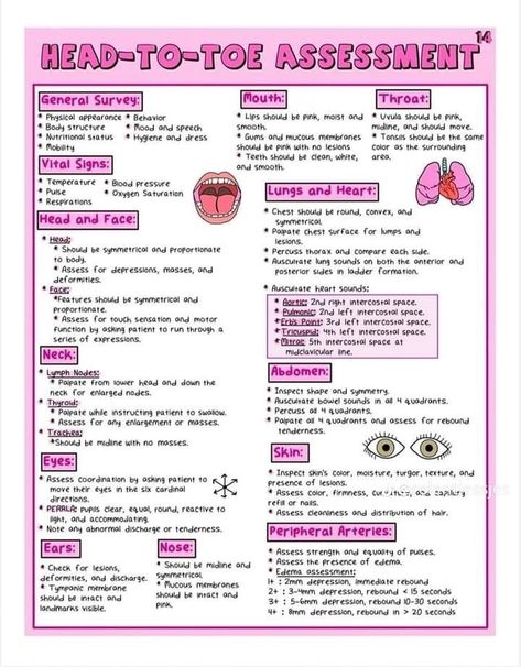 Basic Nursing Knowledge, Med Tech Notes, Basic Medical Knowledge, Types Of Nurses Specialties, Health Assessment Nursing Notes, Nursing Study Guide Template, Nurse Notes Aesthetic, Maternal Newborn Nursing Study Guide, Simple Nursing Study Guides Fundamentals