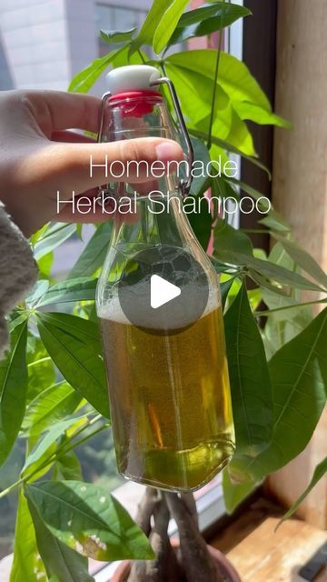 List Of Herbs, Skin Recipes, Herbs For Hair Growth, Herbal Health, Herbal Shampoo, Castille Soap, Herbs For Hair, Makeup Recipes, Diy Dry Shampoo