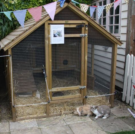 hutch Homemade Rabbit Cage Outdoor, Angora Bunnies, Rabbit Cages Outdoor, Rabbit Hutch Plans, Rabbit Shed, Diy Rabbit Hutch, Rabbit Pen, Outdoor Rabbit Hutch, Rabbit Enclosure