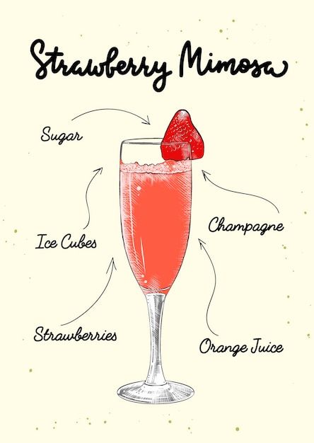 Vector engraved strawberry mimosa cockta... | Premium Vector #Freepik #vector #summer-cocktail #tropical-drink #summer-drink #fruit-cocktail Cookbook Drawings, Alc Drinks, Fruity Cocktail Recipes, Mimosa Drink, Strawberry Mimosa, Birthday Cocktail Party, Mimosa Cocktail, Postcard Ideas, Cocktails Vector