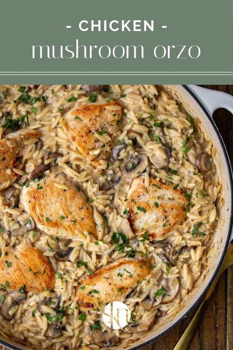 This creamy chicken mushroom orzo recipe is a quick, easy, and healthy one-pot meal that the whole family is sure to love. Chicken Mushroom Orzo Recipes, Chicken Mushroom Rice Recipes, Orzo Dinner Recipes Main Dishes, Creamy Chicken Orzo Recipes, Orzo One Pot Recipes, Mushroom Chicken Healthy, Chicken With Orzo Recipes, Chicken And Orzo Recipes One Pot, High Protein Orzo