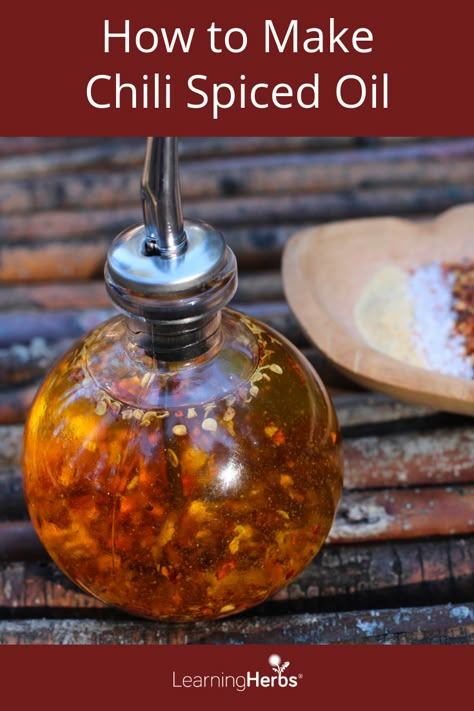 Infused Chili Oil, Chilli Infused Olive Oil, Chilli Olive Oil Recipe, Homemade Infused Olive Oil Christmas Gifts, Chili Olive Oil, Chili Olive Oil Recipes, Flavoured Oils Homemade, Hot Pepper Infused Olive Oil, Olive Oil Infusions