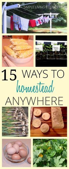 High Rise Apartment, Homesteading Diy, Homestead Farm, High Rise Apartments, Homesteading Skills, Use Less, Urban Homesteading, Living Off The Land, Homestead Survival