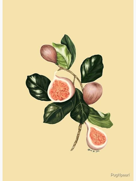 Abstract Tattoo Ideas, Abstract Tattoos, Coffee Shop Photography, Illustrator Design Tutorial, Lino Art, Tattoo Style Drawings, Fruit Painting, Pressed Flower Art, Abstract Tattoo