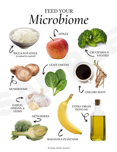 Feed Your Microbiome Handout — Functional Health Research + Resources — Made Whole Nutrition #turkey #tail #mushroom #benefits Healthy Gut Biome, Food For Microbiome, Gut Biome Foods, Gut Biome Diet, Gut Microbiome Diet, Gut Healthy Lunch Ideas, Micro Biome Diet, Microbiome Foods, Microbiome Diet Recipes