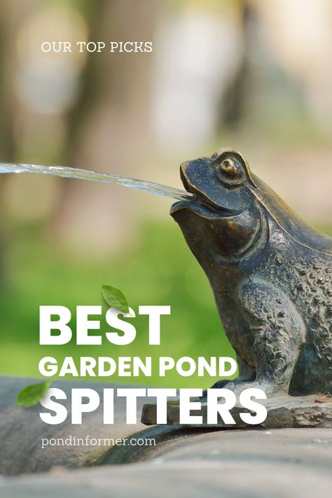 Pond spitters are one of the best ways to add extra life and vibrancy to a water garden, whilst also providing a range of benefits to pond fish and the eco-system. Read more about the best spitters on the marked on pondinformer.com  #ponds #gardening #pond #spitter #frog Pond Spitter, Pond Spitters, Pond Decorations, Fish Pond Gardens, Frog Pond, Eco System, Pond Fish, Diy Pond, Pond Pumps