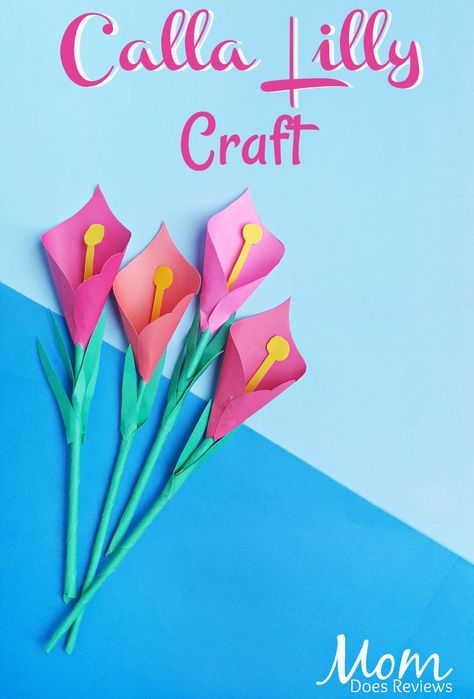 Calla Lilly Craft #papercraft #craft #flowers #easycraft Calla Lily Meaning, Lily Craft, Greek Goddess Hera, Backyard Science, Lily Meaning, Pink Calla Lily, Craft Spring, Summer Display, White Calla Lilies